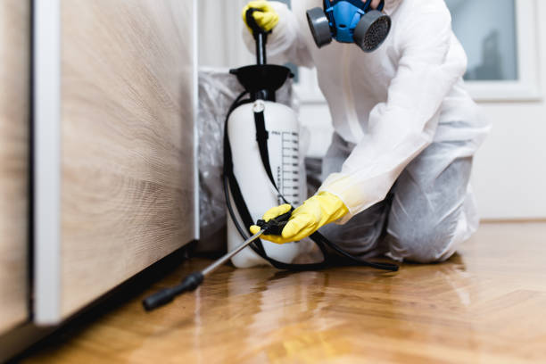 Best Flea Control Services  in Fort Hood, TX