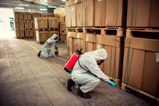 Best Exterminator Services  in Fort Hood, TX