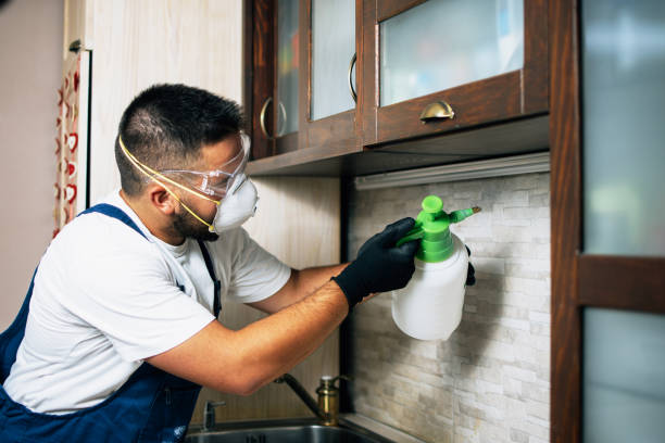 Best Pest Control Near Me in Fort Hood, TX