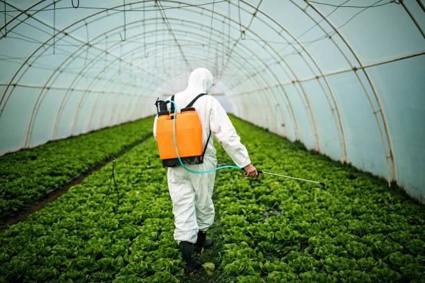 Best Commercial Pest Control Services  in Fort Hood, TX