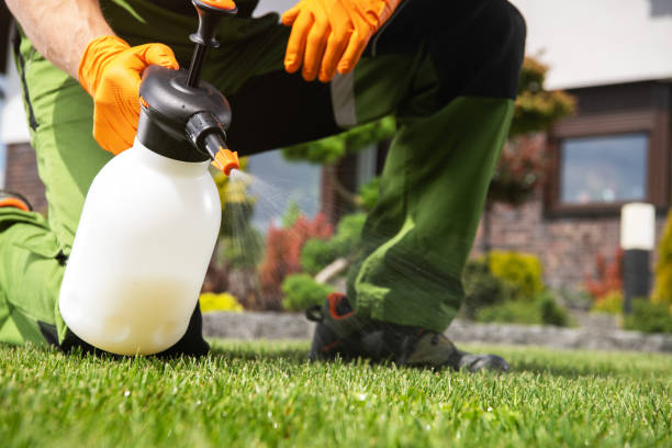Best Ant Control Services  in Fort Hood, TX