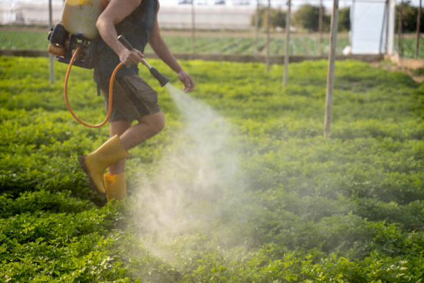 Best Pest Inspection Near Me  in Fort Hood, TX