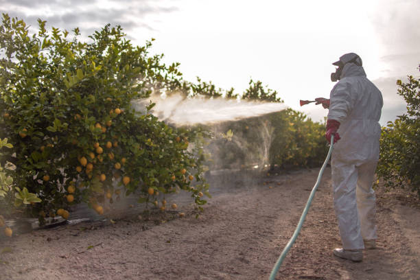 Best Pest Removal Services  in Fort Hood, TX