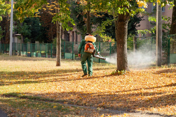Best Residential Pest Control  in Fort Hood, TX