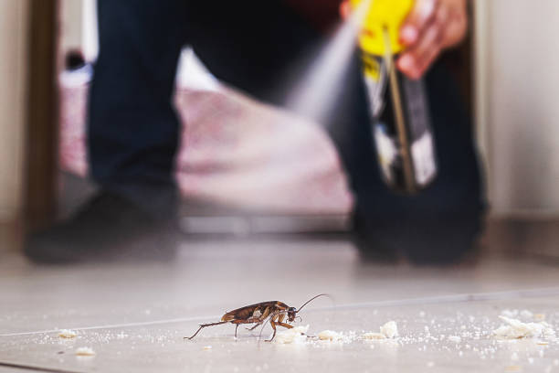 Best Best Pest Control Companies  in Fort Hood, TX
