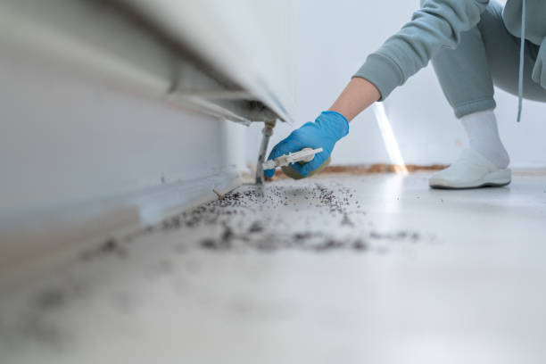Flea Control Services in Fort Hood, TX