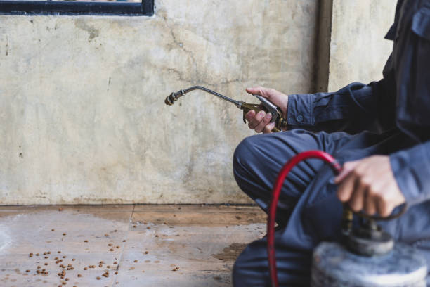 Best Mosquito Control Services  in Fort Hood, TX